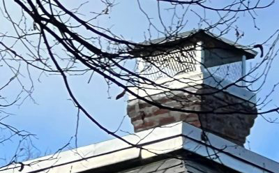 Chimney Caps service by Champs Chimney.