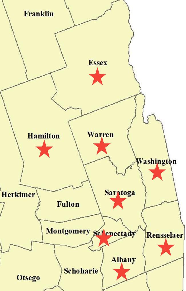 Map of NY counties Champs Chimney serves.